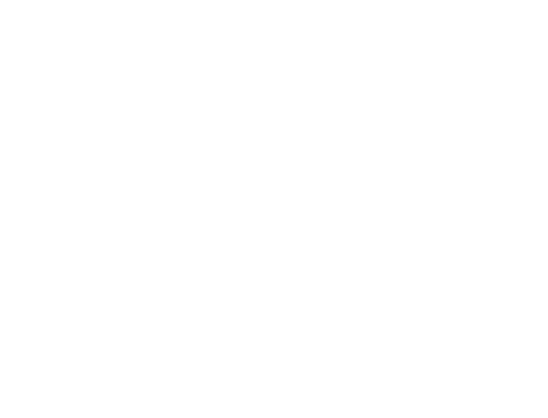 Buffalo Bill